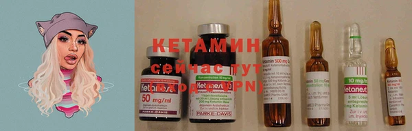 крисы Абдулино