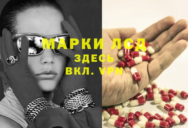 СК Абинск