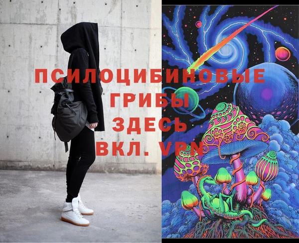 крисы Абдулино