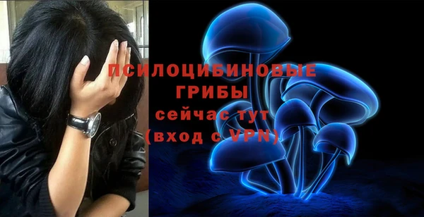 СК Абинск